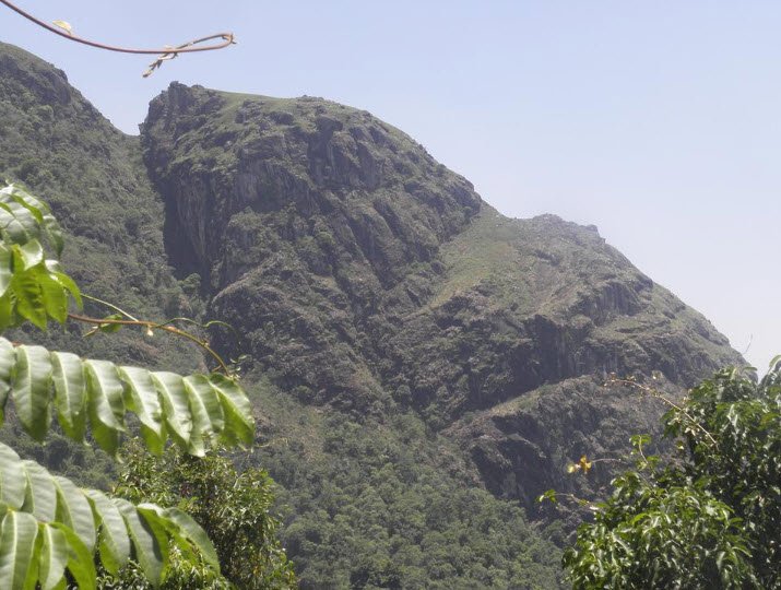 Frog Hill, Nilgiris, Tamil Nadu - Vushii.com Frog Hill, Nilgiris, Tamil Nadu - Vushii.com